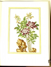 Zauber der Rose 06/24